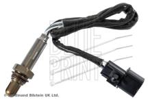 Blue Print ADBP700026