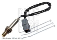 Blue Print ADBP700066