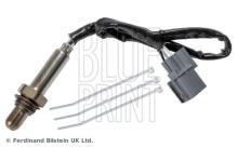 Blue Print ADBP700113