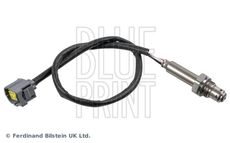 Blue Print ADBP700123
