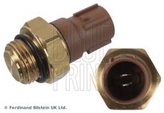 Blue Print ADBP720022