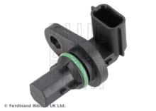 Blue Print ADBP720028