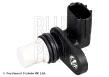 Blue Print ADBP720031