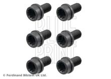 Blue Print ADBP780064