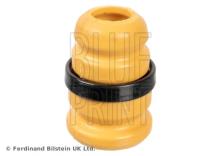 Blue Print ADBP800023