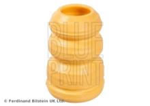 Blue Print ADBP800024