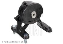 Blue Print ADBP800079