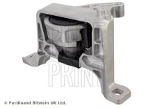 Blue Print ADBP800224
