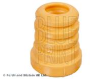 Blue Print ADBP800243