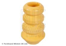 Blue Print ADBP800369