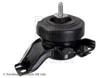 Blue Print ADBP800394