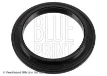Blue Print ADBP800524
