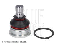 Blue Print ADBP860098