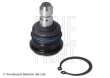 Blue Print ADBP860233