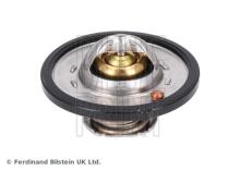 Blue Print ADBP920015
