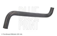 Blue Print ADBP930019