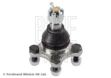 Blue Print ADC48612