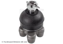 Blue Print ADC48614