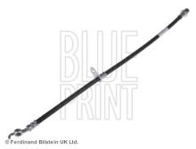 Blue Print ADD65351