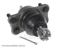 Blue Print ADD68629