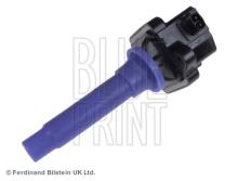 Blue Print ADG01439