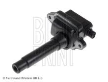 Blue Print ADG01440