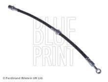 Blue Print ADG053108