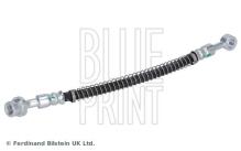 Blue Print ADG053116