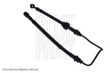 Blue Print ADG053120