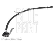 Blue Print ADG053137