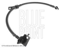Blue Print ADG053147