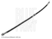 Blue Print ADG053182