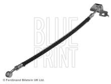 Blue Print ADG053208