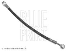 Blue Print ADG053219