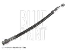 Blue Print ADG053223