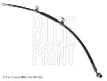 Blue Print ADG053239