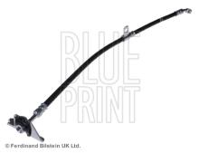Blue Print ADG053256