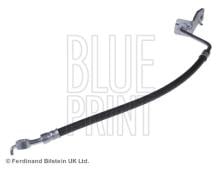 Blue Print ADG053267