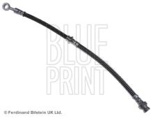 Blue Print ADG053272