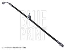 Blue Print ADG053289