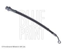 Blue Print ADG053299