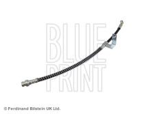 Blue Print ADG05329