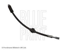 Blue Print ADG053312