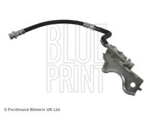 Blue Print ADG053318