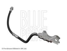 Blue Print ADG053319