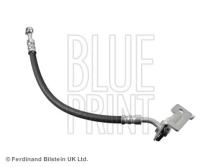 Blue Print ADG053323