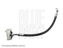 Blue Print ADG053325