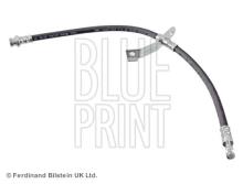 Blue Print ADG053326