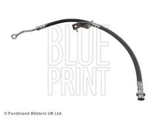 Blue Print ADG053329