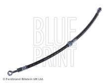 Blue Print ADG05334